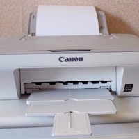canon pixma mg2450 change ink